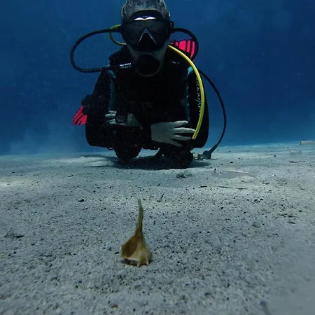 Neptune Dive Club